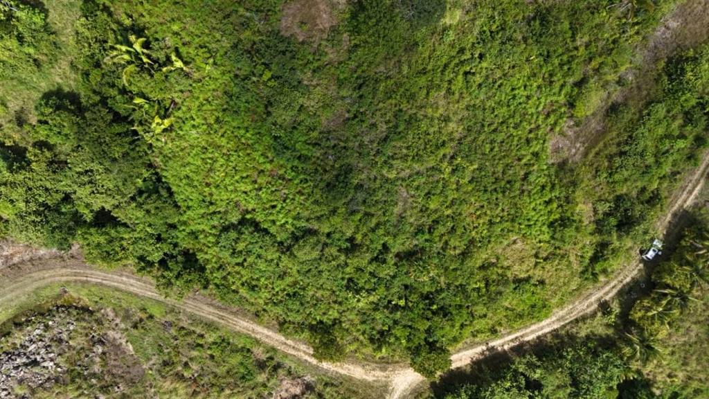 listing image with ID 63680