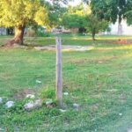 listing image thumbnail with ID 66605