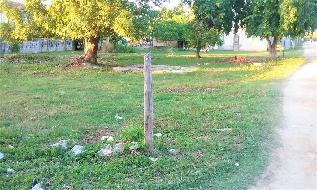 listing image with ID 66605