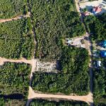 listing image thumbnail with ID 67824