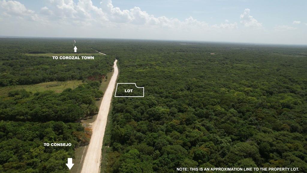 listing image with ID 69323