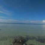 listing image thumbnail with ID 63673