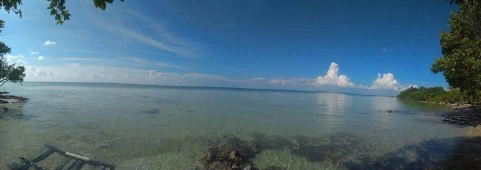 listing image with ID 63673