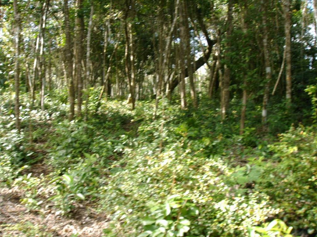 listing image with ID 64572