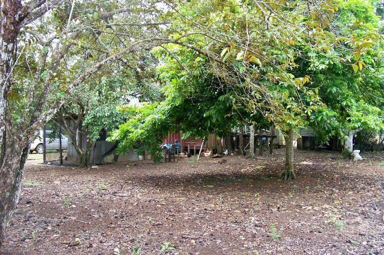 listing image with ID 69297