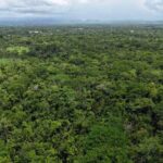 listing image thumbnail with ID 65241