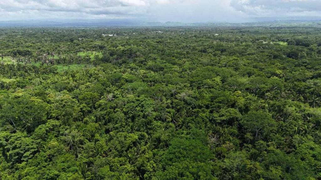 listing image with ID 65241