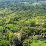 listing image thumbnail with ID 64870