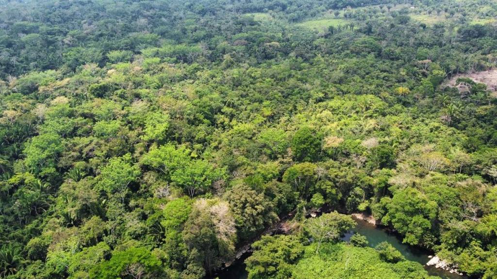 listing image with ID 64870