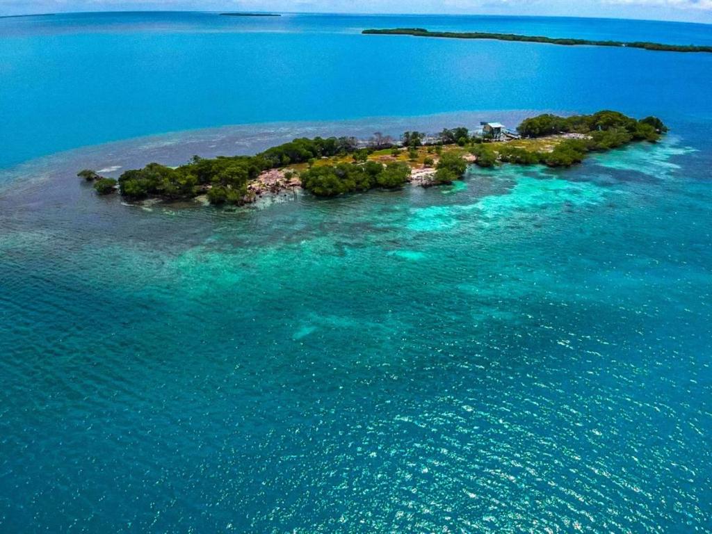 listing image with ID 68339