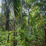 listing image thumbnail with ID 66653