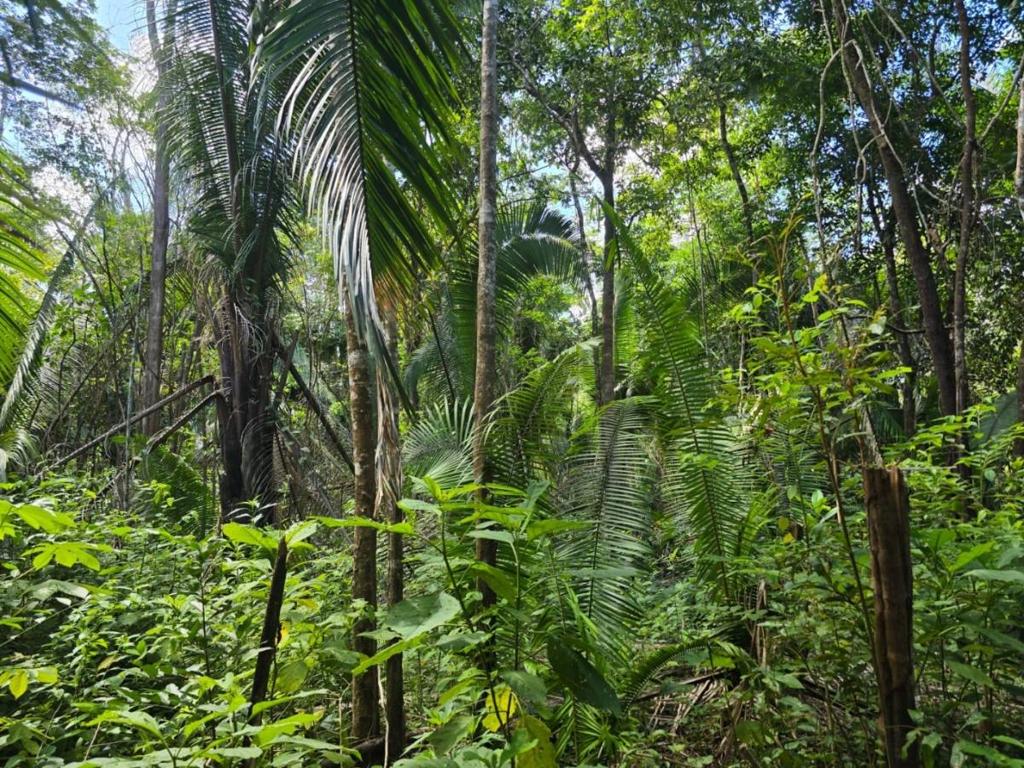 listing image with ID 66653