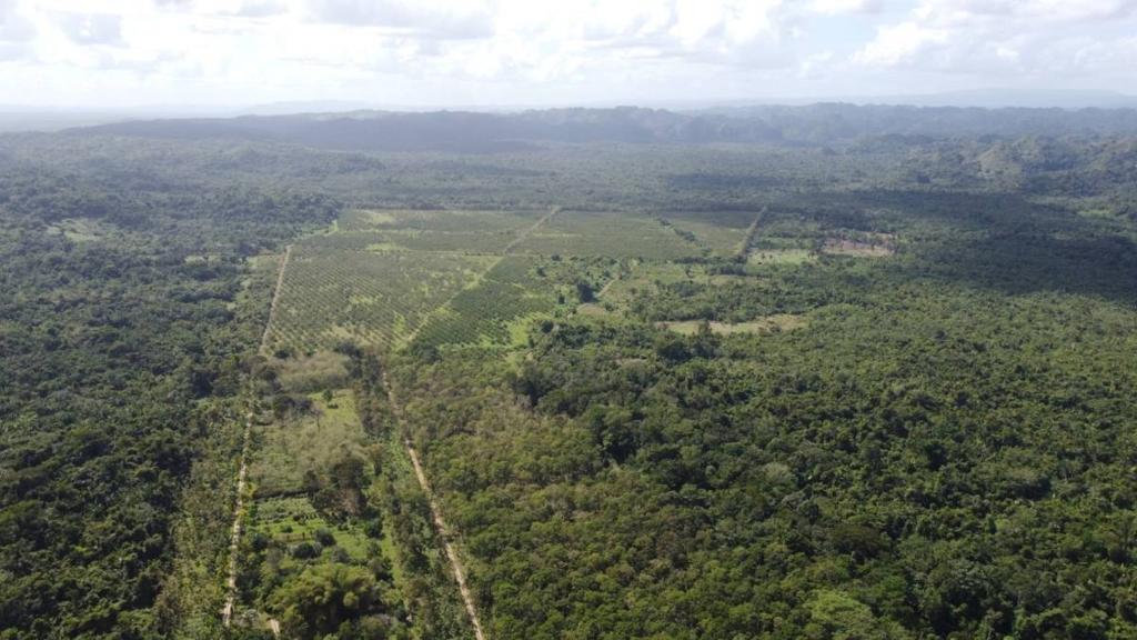 listing image with ID 68126