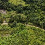 listing image thumbnail with ID 63684