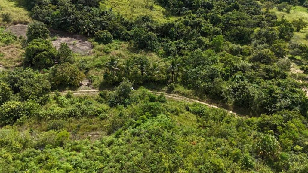 listing image with ID 63684