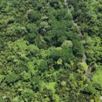 listing image thumbnail with ID 65226