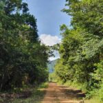 listing image thumbnail with ID 67785