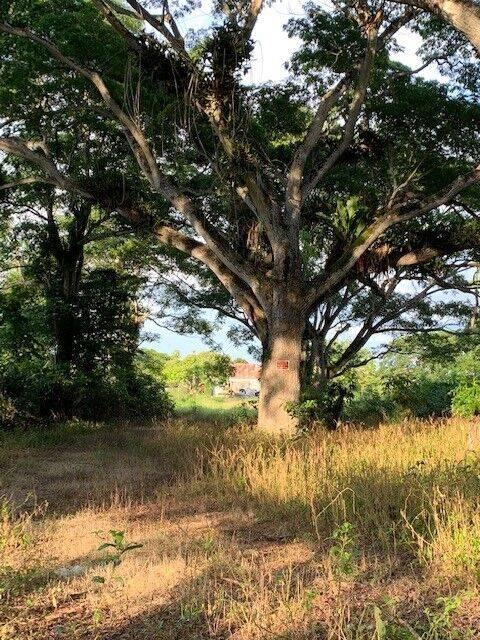 listing image with ID 65020