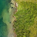 listing image thumbnail with ID 63750