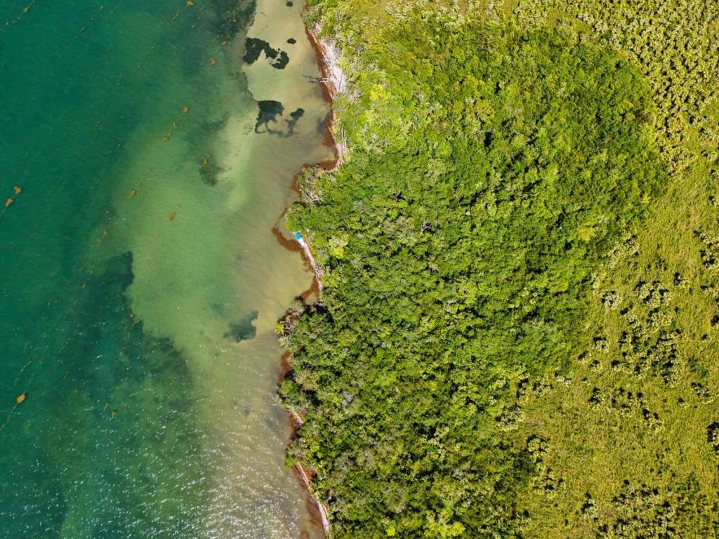 listing image with ID 63750