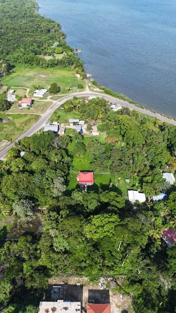 listing image with ID 64736