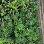 listing image thumbnail with ID 68217