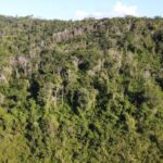 listing image thumbnail with ID 67759