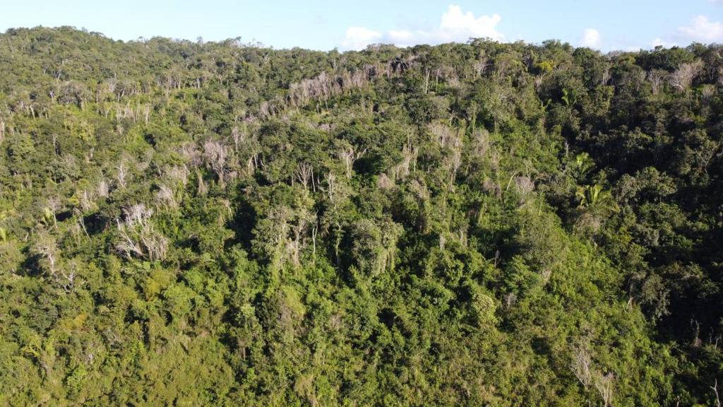 listing image with ID 67759