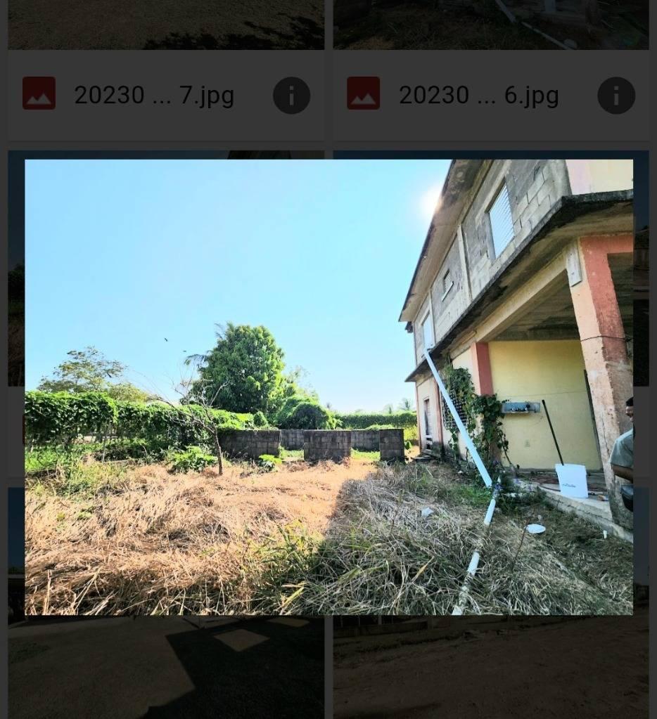 listing image with ID 65383