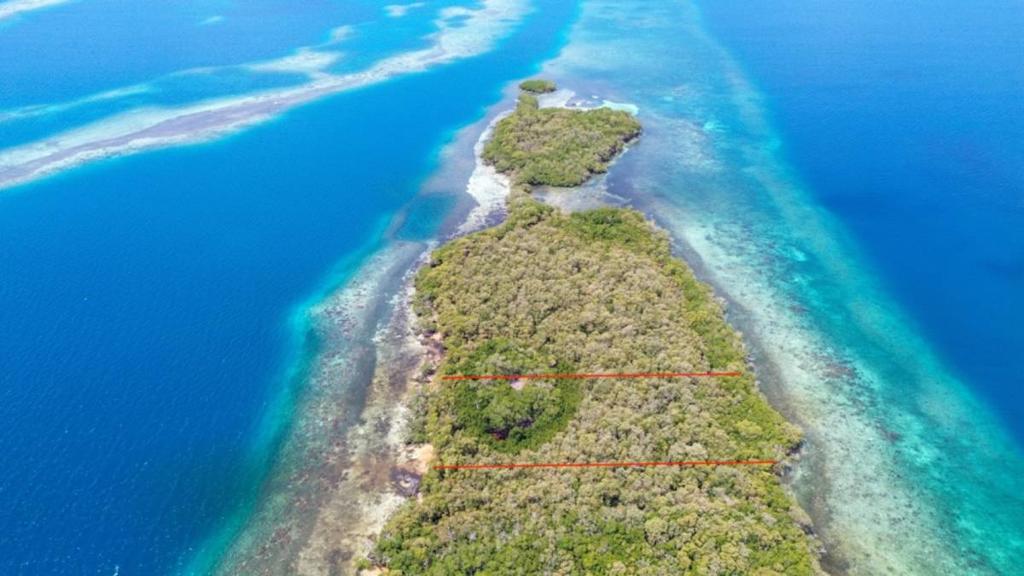 listing image with ID 65071