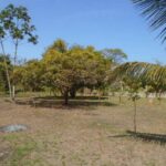 listing image thumbnail with ID 64457