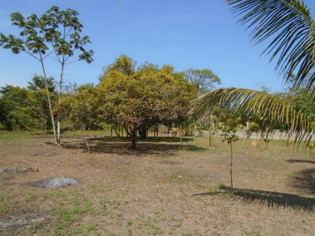 listing image with ID 64457