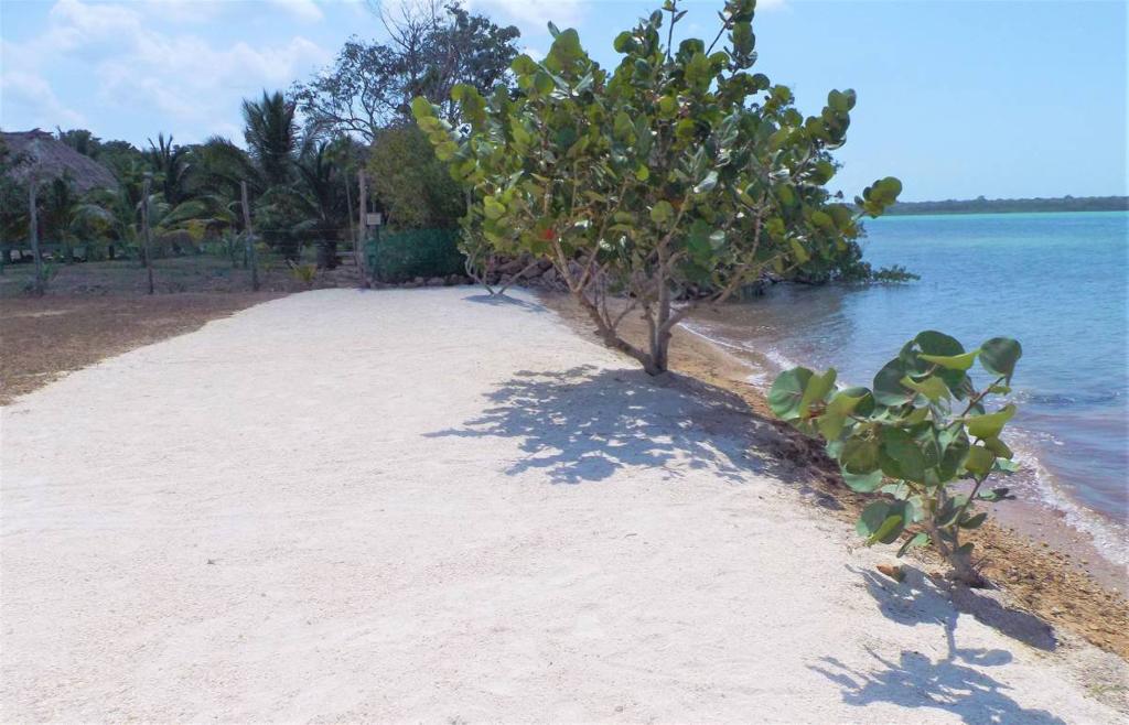 listing image with ID 67633