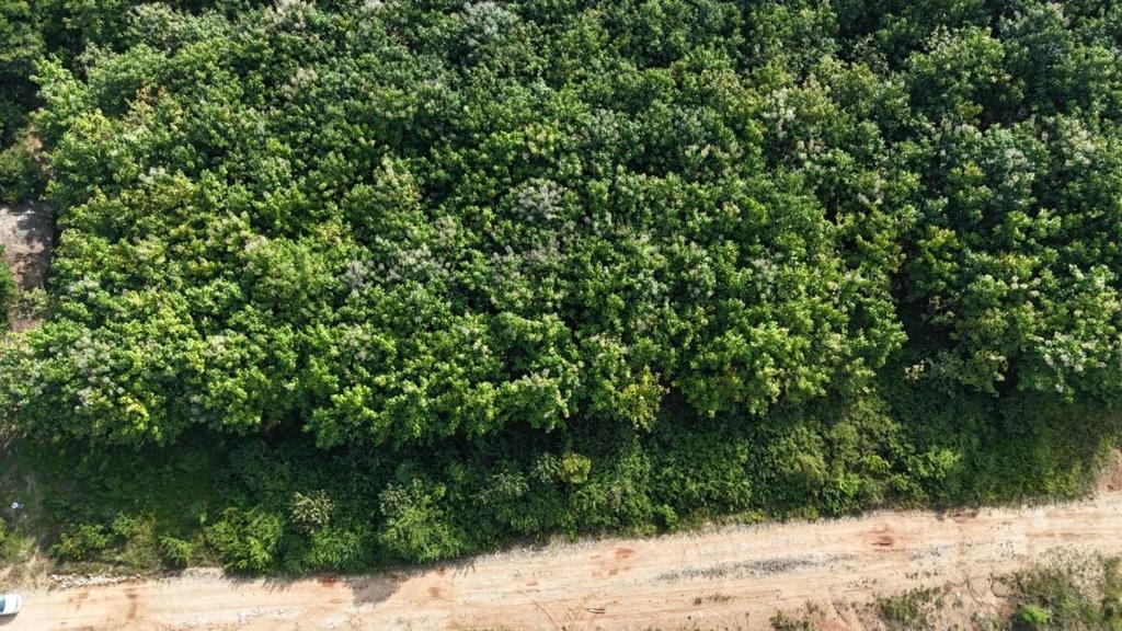 listing image with ID 68072