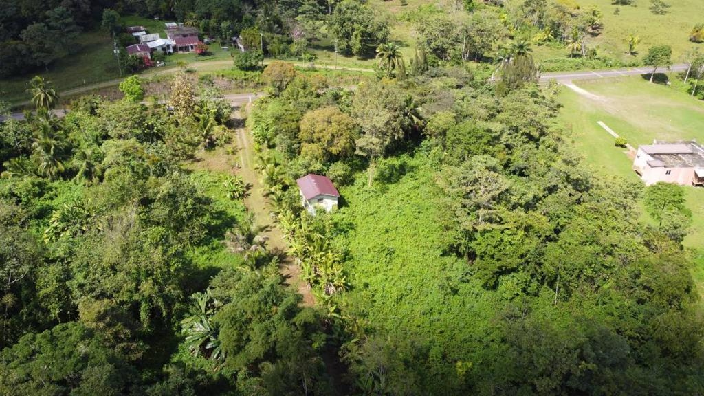 listing image with ID 64234