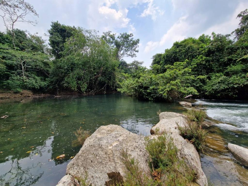 listing image with ID 66254