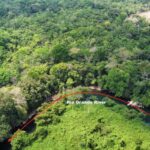 listing image thumbnail with ID 69163