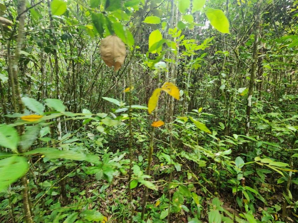 listing image with ID 64868