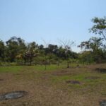 listing image thumbnail with ID 64450