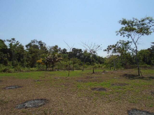 listing image with ID 64450