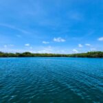 listing image thumbnail with ID 65079