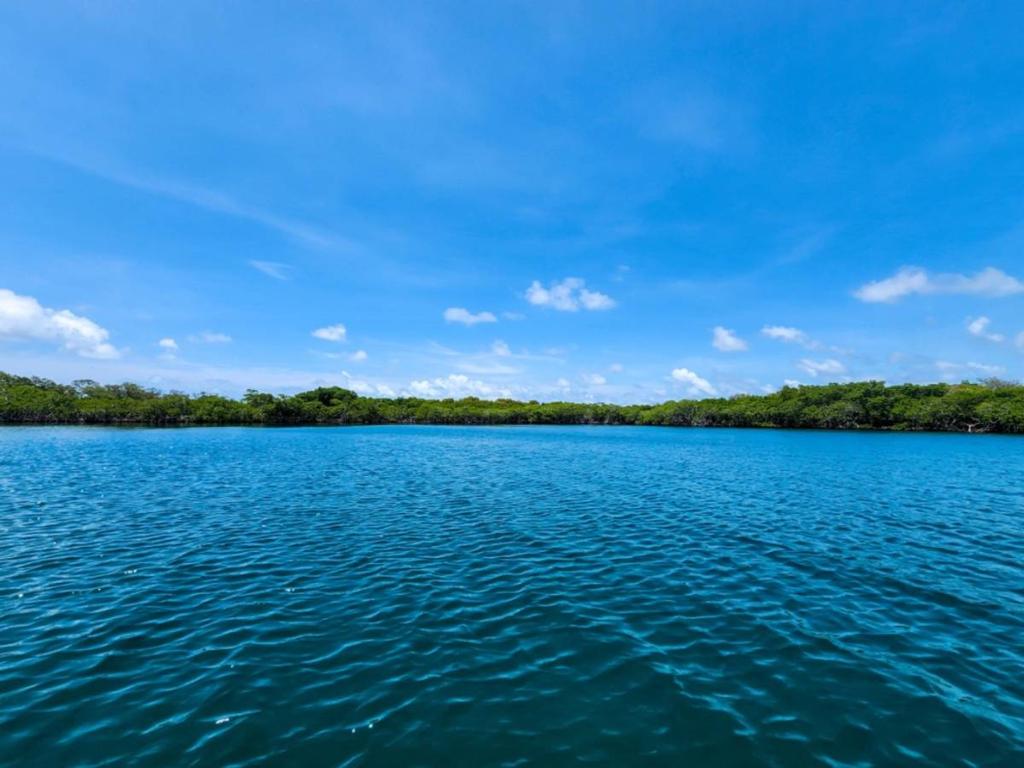 listing image with ID 65079