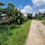 listing image thumbnail with ID 67507