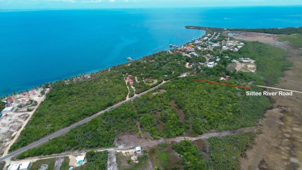 listing image with ID 65330