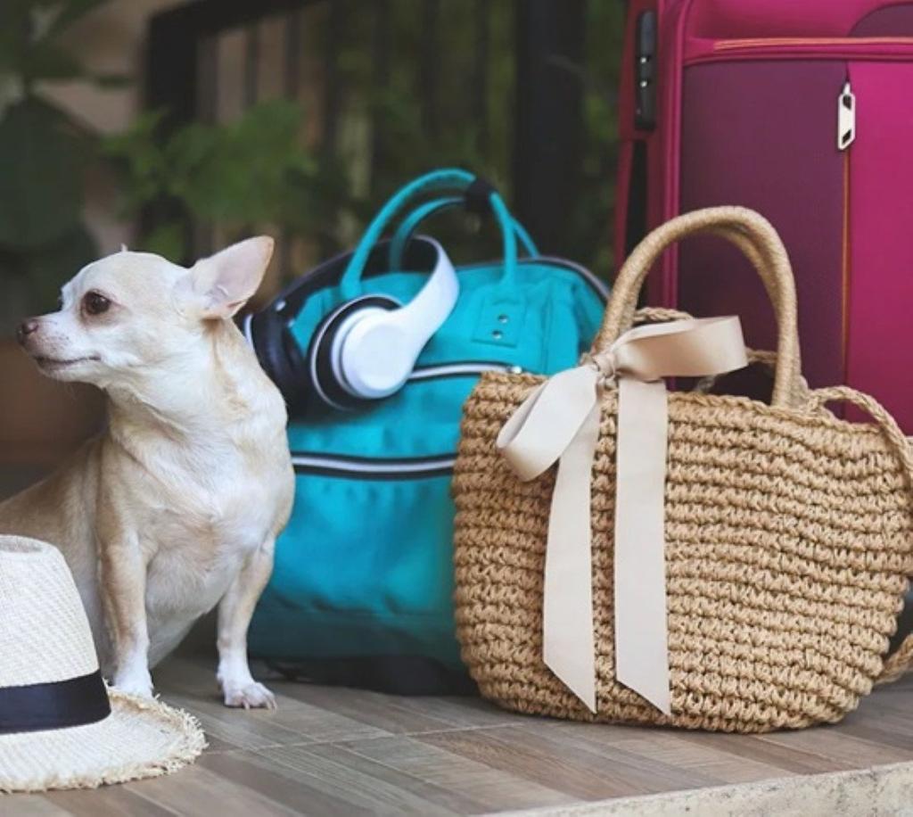 listing image with ID 68891