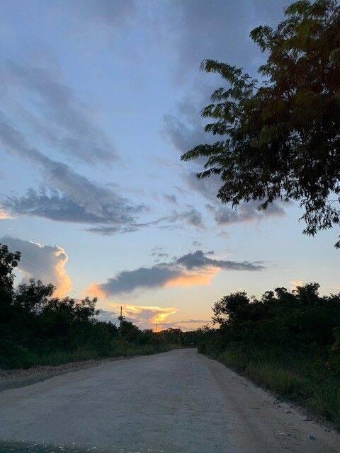 listing image with ID 65039