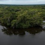 listing image thumbnail with ID 68840