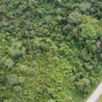 listing image thumbnail with ID 66578