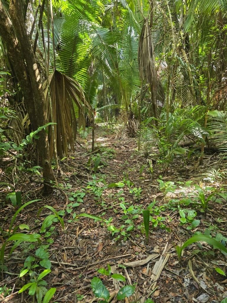 listing image with ID 66676