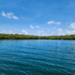 listing image thumbnail with ID 66844